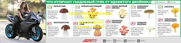 ECSTASY Балабаново