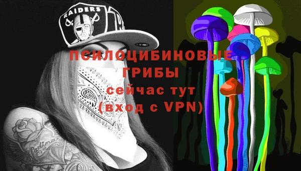 стафф Балахна