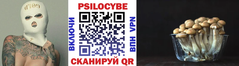 Галлюциногенные грибы Magic Shrooms  купить закладку  Макаров 